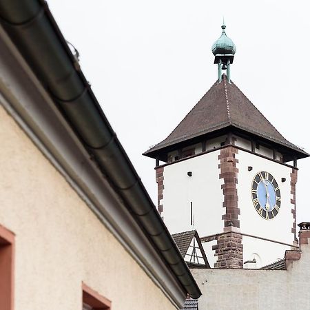 Deluxe Apartment Mit Schlossbergblick Freiburg im Breisgau Exterior foto